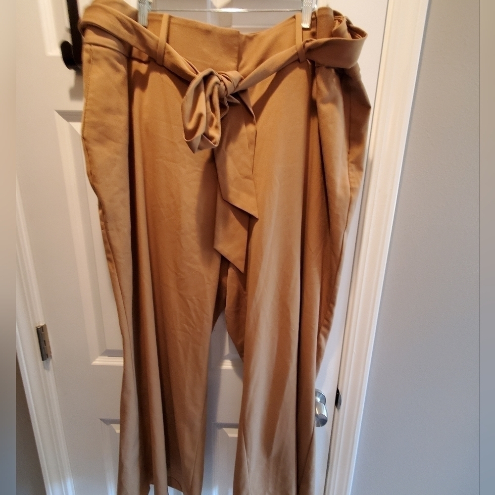 Lane Bryant camel color. Sz 26R. Officewear. Extra wide hems.